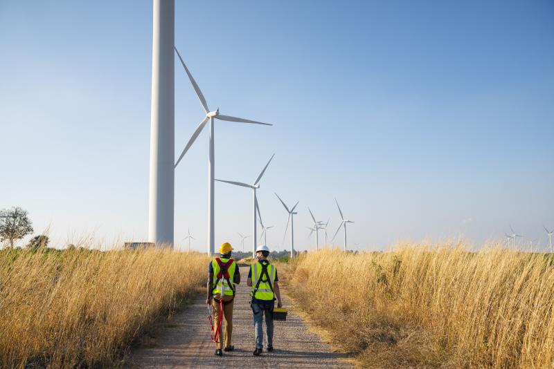 Two engineers walking along a row of wind turbines with their backs to the camera
