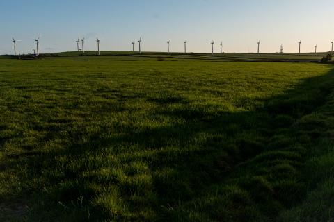 Wind turbines on grass